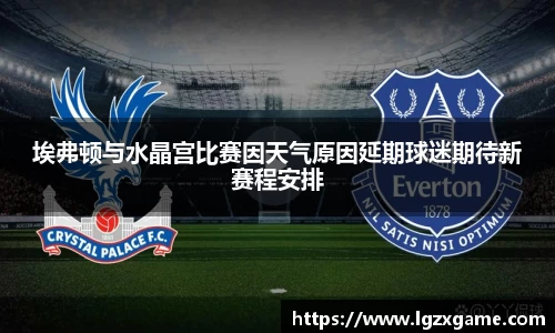 埃弗顿与水晶宫比赛因天气原因延期球迷期待新赛程安排